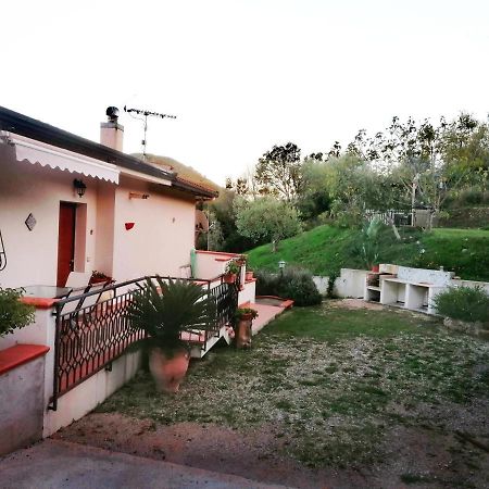 L'Opuntia sul lago Caccamo Esterno foto