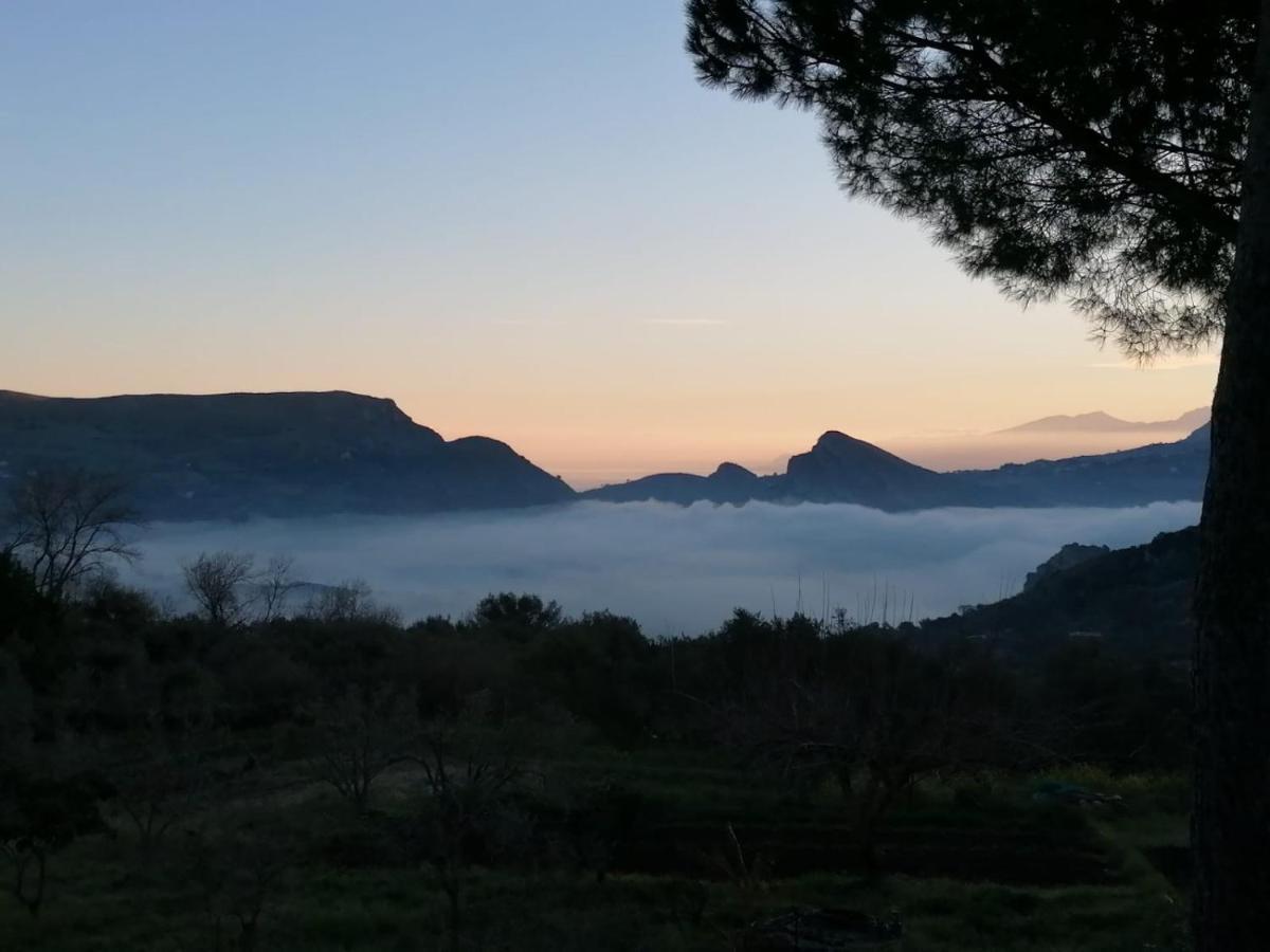L'Opuntia sul lago Caccamo Esterno foto