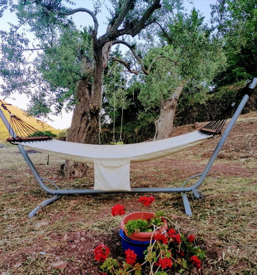 L'Opuntia sul lago Caccamo Esterno foto