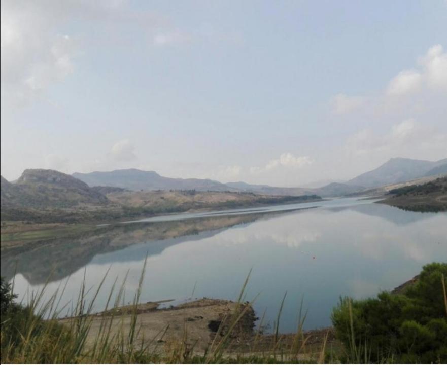 L'Opuntia sul lago Caccamo Esterno foto