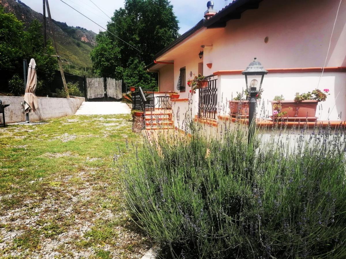 L'Opuntia sul lago Caccamo Esterno foto