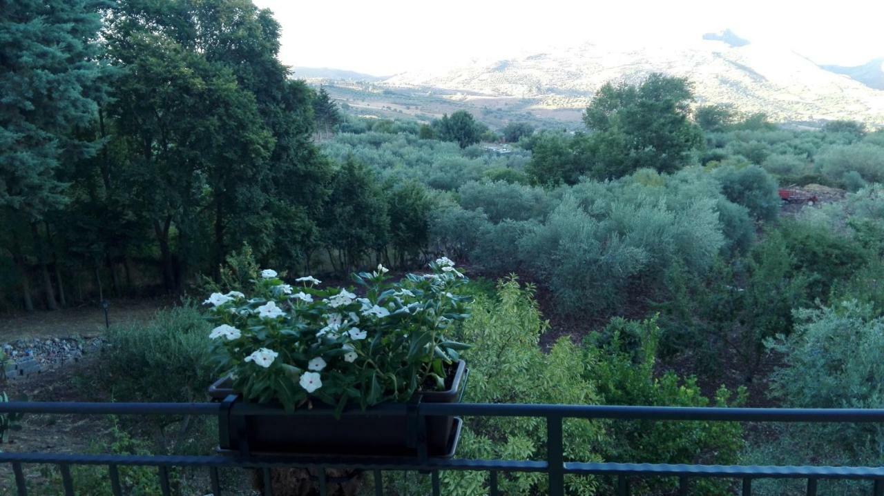 L'Opuntia sul lago Caccamo Esterno foto