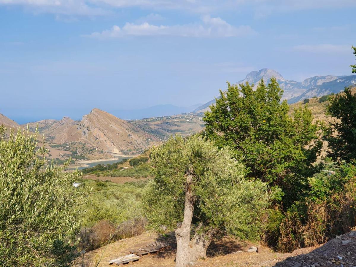 L'Opuntia sul lago Caccamo Esterno foto