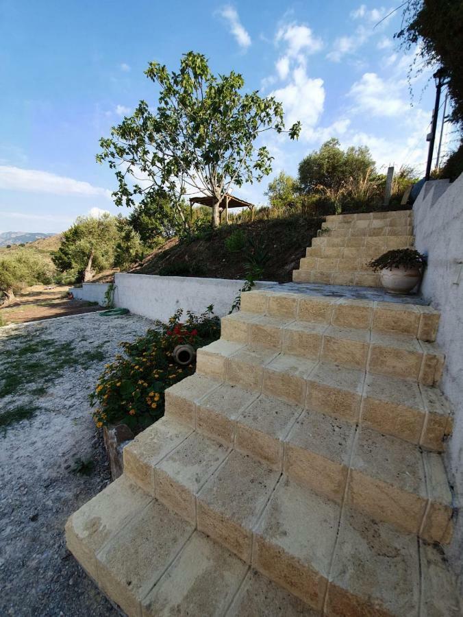 L'Opuntia sul lago Caccamo Esterno foto