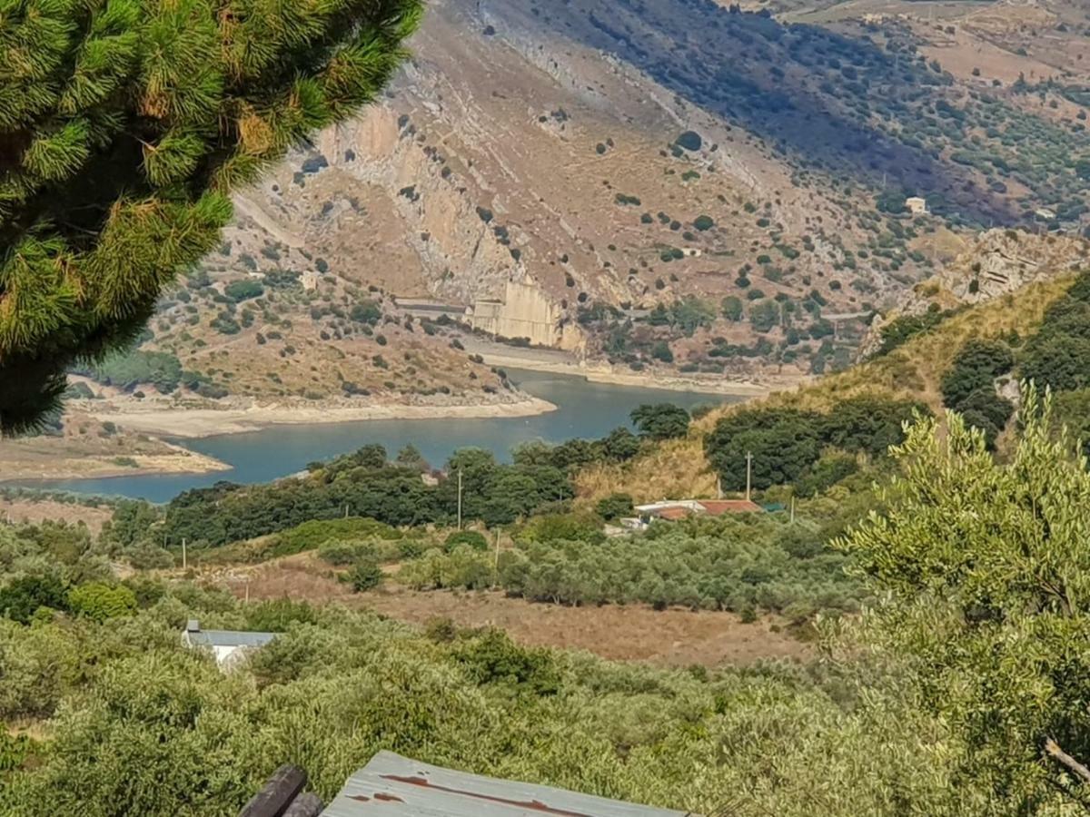 L'Opuntia sul lago Caccamo Esterno foto